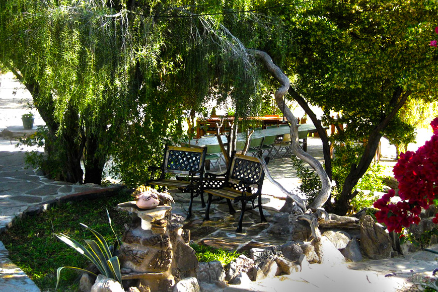 Garden with chairs at Zebra River Lodge