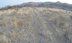 Hiking trail with MTB track at Zebra River Lodge