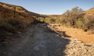 End of track at Kudu spring