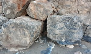 Rocks with Namacalathus Hermanastes